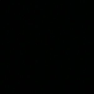 Meet your Posher, Destiny